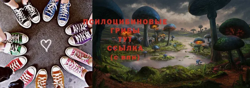 Галлюциногенные грибы Magic Shrooms  Барабинск 